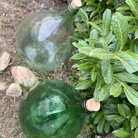 Cascina41 Villa *